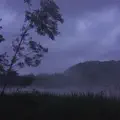 silhouette
