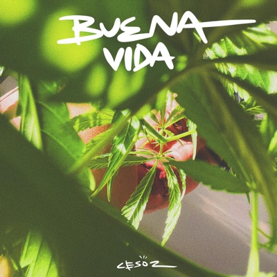 Buena Vida - Single