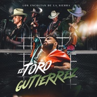 El Toro Gutierrez - Single - Los Escoltas De La Sierra