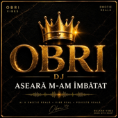 Aseară M-am Îmbătat