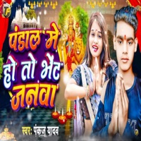 Pandal Me Ho To Bhet Janva - Single - Pankaj Yadav