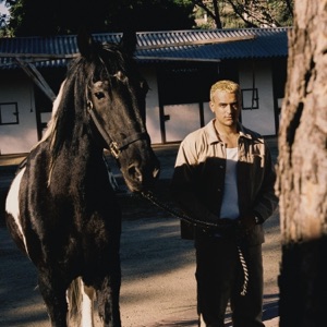 Horses - Single