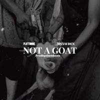 NOT A GOAT (feat. Flyt_Mode & MSAWDEN) - Single - SleemBeats