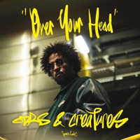 Over Your Head - Single - DRS & Creatures