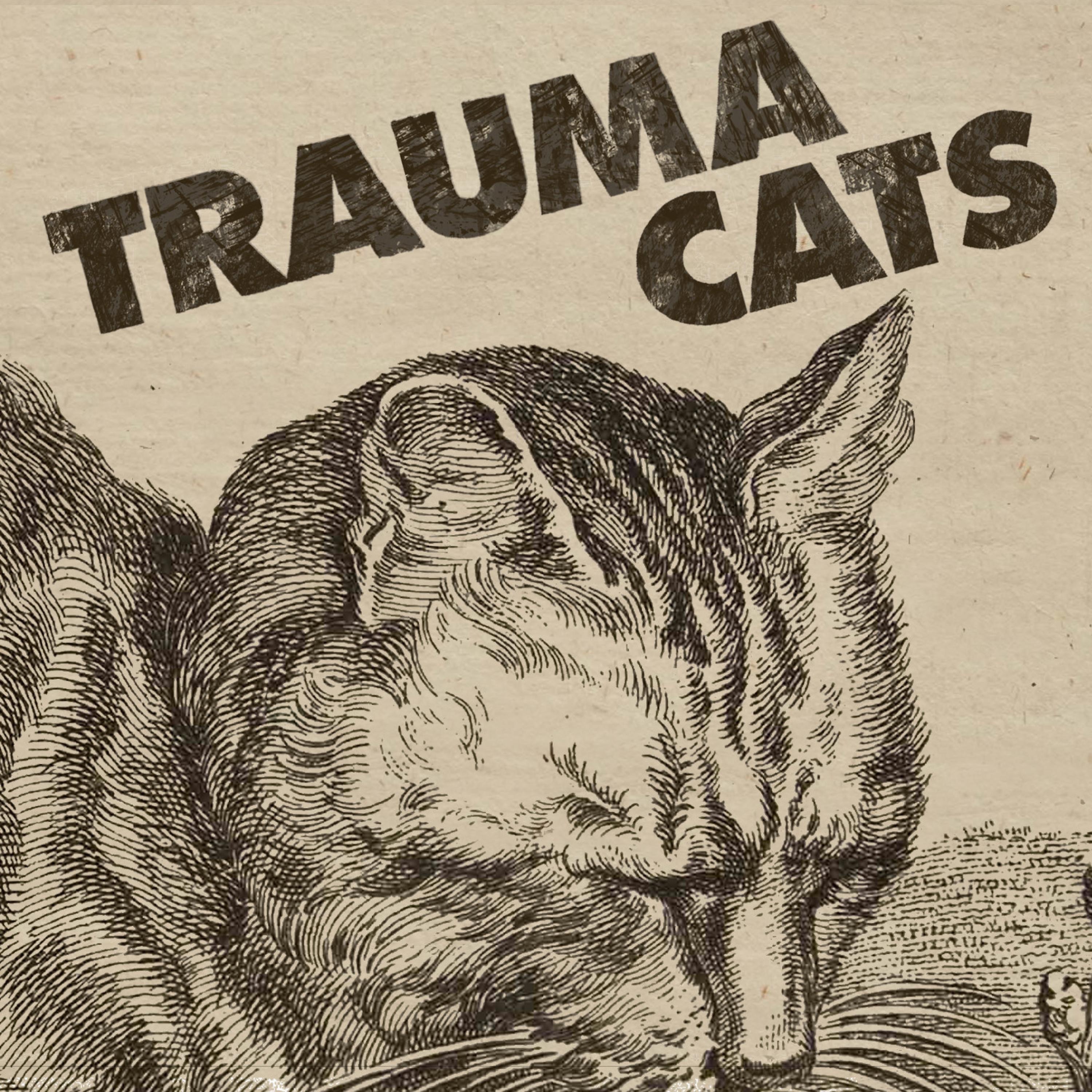 TRAUMA CATS