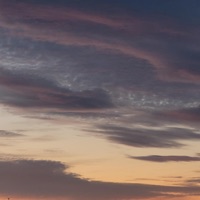 dreamlike - Single - Bert