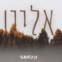 Alone - אליין (feat. Sruly Green) - Single - Shmelka Posen