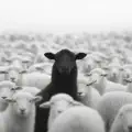 Be a Bastard