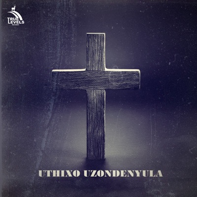 UTHIXO UZONDENYULA (feat. Lart Walker) - Single