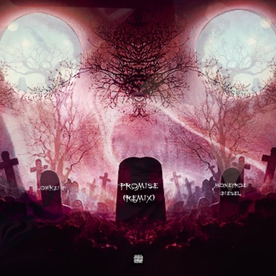 Promise (feat. MoneyRoe Diesel) [Remix] - Single