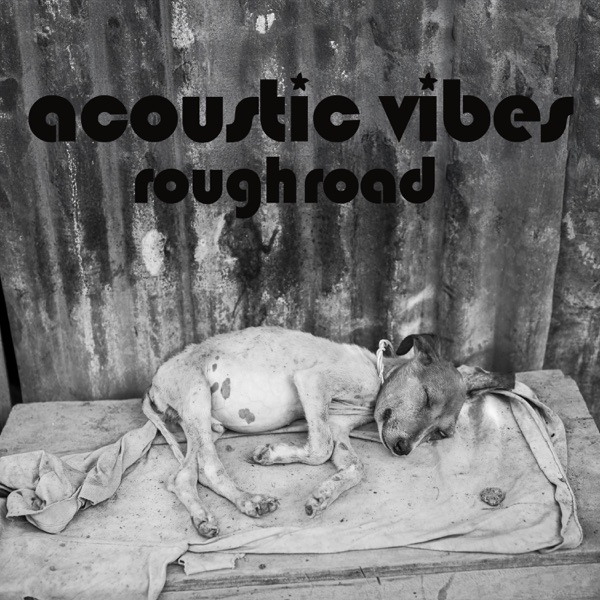 Rough Road - Single