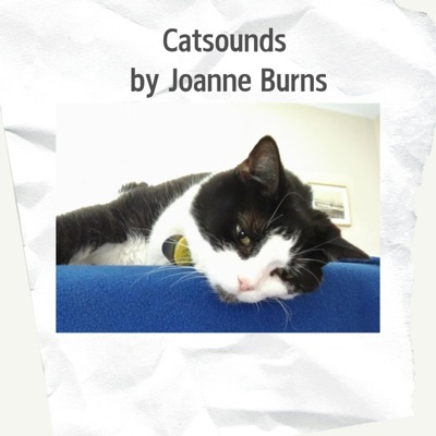 Catsounds - EP
