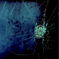 I Almost Quit - Single - Berniemaceleven