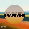 Grapevine