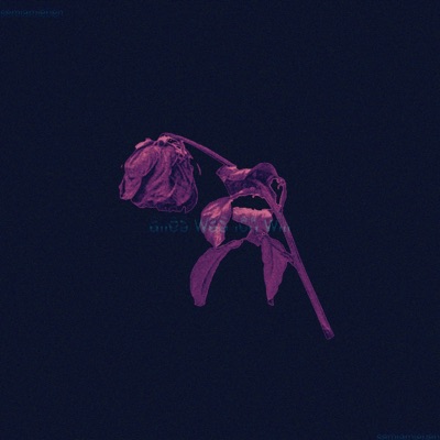 Alles Was Ich Will <3 - Single