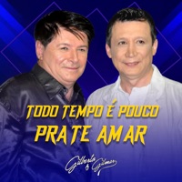 Todo Tempo É Pouco pra Te Amar (Ao Vivo) - Single - Gilberto e Gilmar