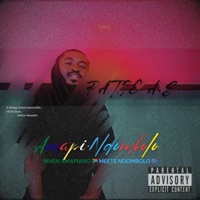 AmapiNdombolo - Single - Patie A.S