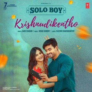 Krishnudikentho (From 
