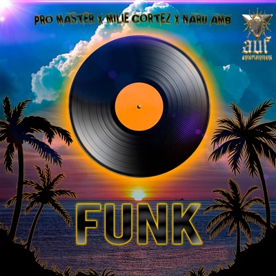 Funk - Single