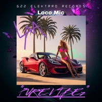 Pure Vibez - Single - Loco Mic