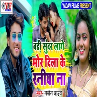 Badi Sundar Lage Mor Dila Ke Raniya Na - Single - Naveen Yadav