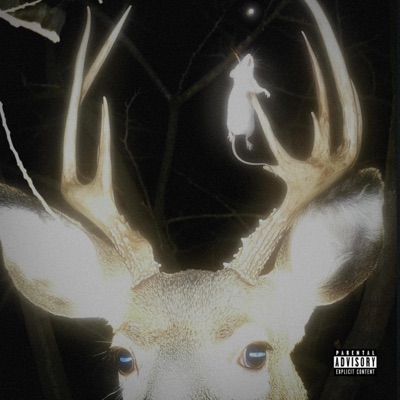 one nite freestyle - EP