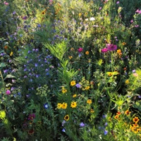 rock with u - Single - rxi