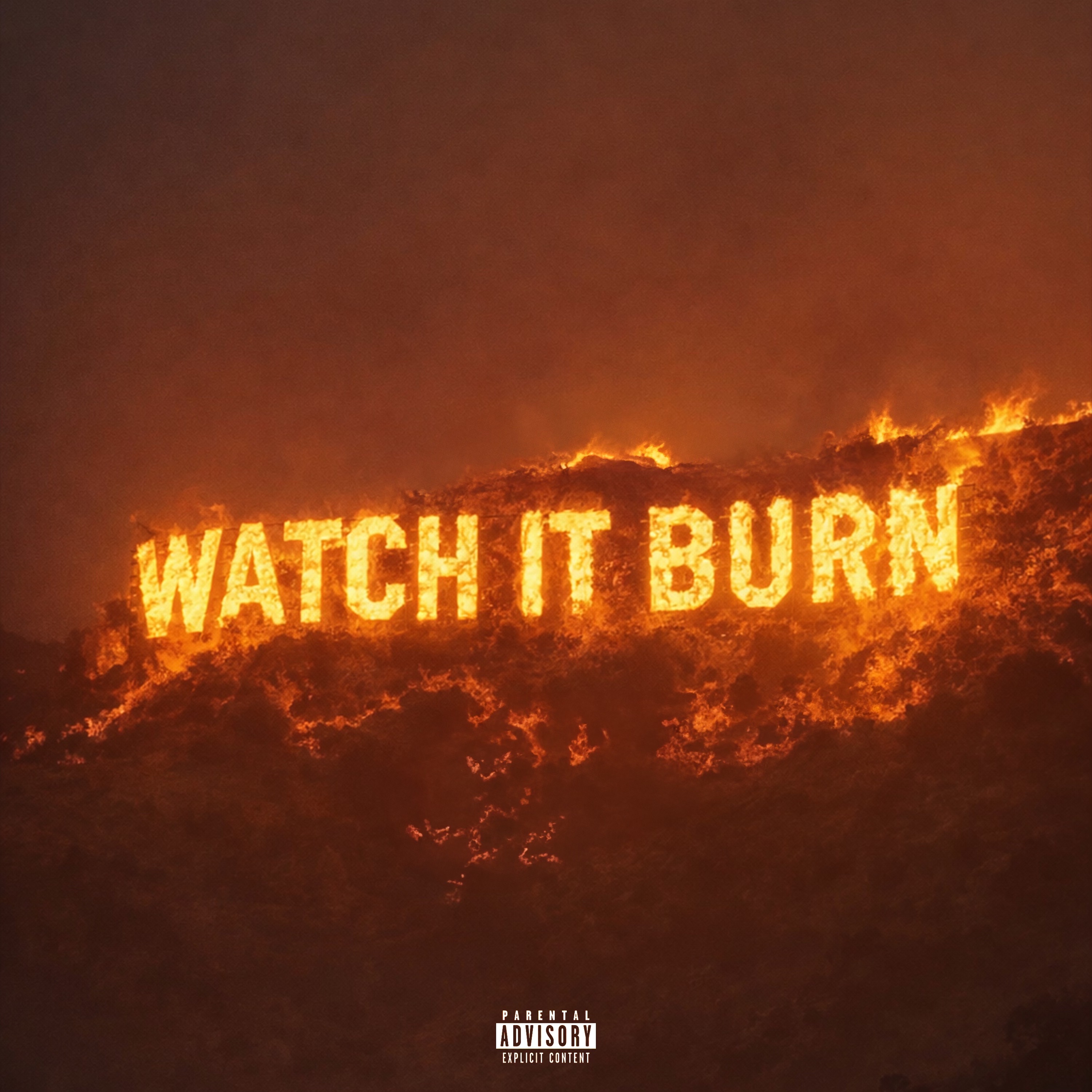 Watch It Burn - Single