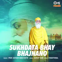 Aap Karo Hamare Sab Kaaj — Prof. Satnam Singh Sethi
