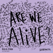 Are We Alive (Fulltone Remix) artwork