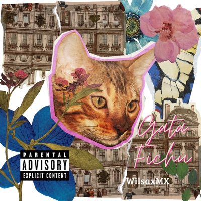 GATA FICHU - Single