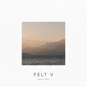 Felt V