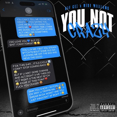 You Not Crazy (feat. Mike Williams) - Single