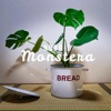 Monstera - EP