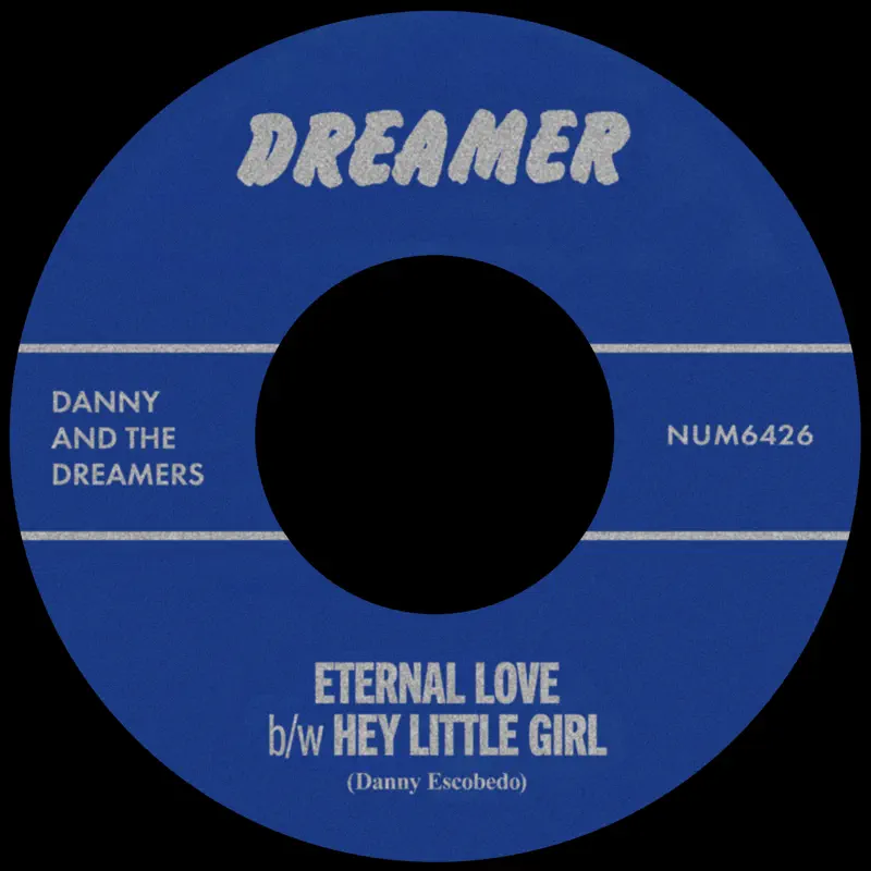 Danny & The Dreamers(80’ US) パンク天国 Danny & The Dreamers - Shazam