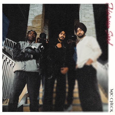 Mic Check (feat. Janmeet Infinity & Manando NDA) - Single