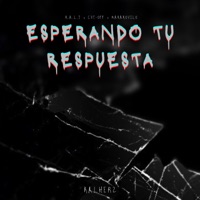 Esperando Tu Respuesta - Single - K.A.L.T, Cut-Off & Makakovilo