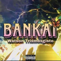 BANKAI (feat. Cloudymorning) - Single - Watson Trismegisto
