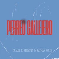 Perreo Callejero (feat. Dj Adrian & Dj Rayman) - Single - Dj Alex Del Callao