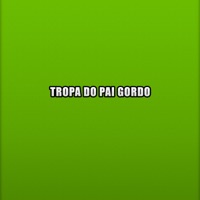 Tropa do Pai Gordo - Single - MC JN