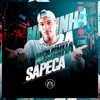 Mega Pras Novinha Sapeca - Single