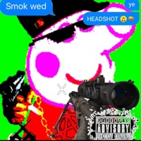 I Disagree With Your Wrong Opinion (feat. sybrwalrus & KamiKazi) - Single - gnarlyboyetrnl