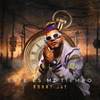Quien la mando (feat. El Santy) - Single - Ronny Jay