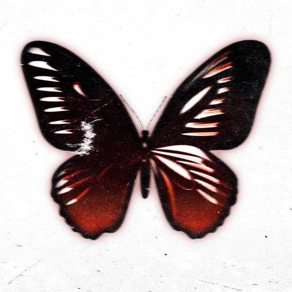 XY (feat. Joey Diggs Jr.)