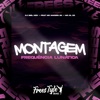 Montagem Frequência Lunática (feat. MC MAGRIN 2K & MC DL 22) - Single