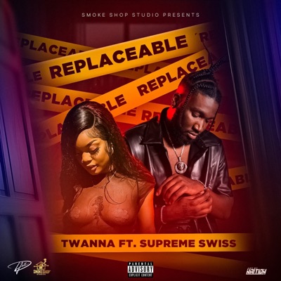 Replaceable (feat. Supreme Swiss) - Single