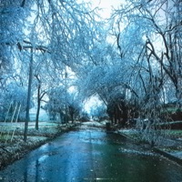 midwest (feat. Levi Ryan) - Single - Boo Rad1ey