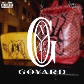 otro goyard (feat. LY$ AaroN) XTokely