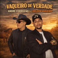 Vaqueiro de Verdade (feat. Joelson vaqueiro) - Single - André Forrozão
