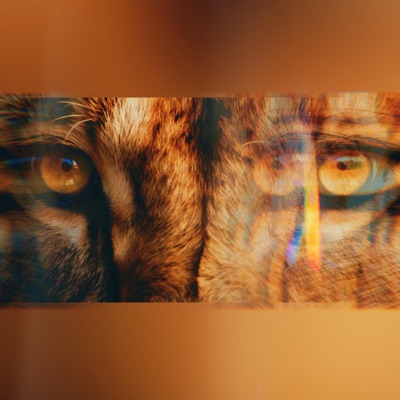 See - Single